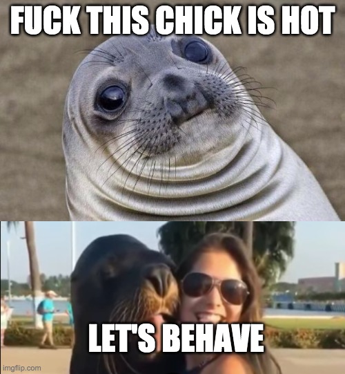 FUCK THIS CHICK IS HOT; LET'S BEHAVE | image tagged in awkward seal | made w/ Imgflip meme maker