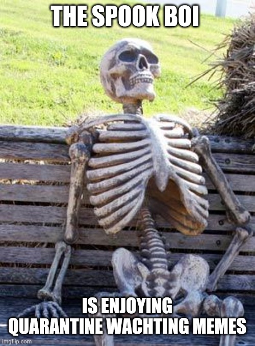 Waiting Skeleton Meme | THE SPOOK BOI; IS ENJOYING QUARANTINE WACHTING MEMES | image tagged in memes,waiting skeleton | made w/ Imgflip meme maker