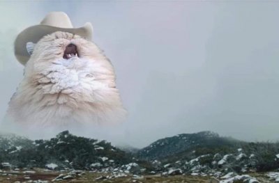 High Quality Mariachi Cat Blank Meme Template