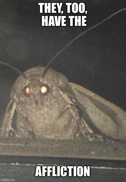 Moth | THEY, TOO,   HAVE THE AFFLICTION | image tagged in moth | made w/ Imgflip meme maker