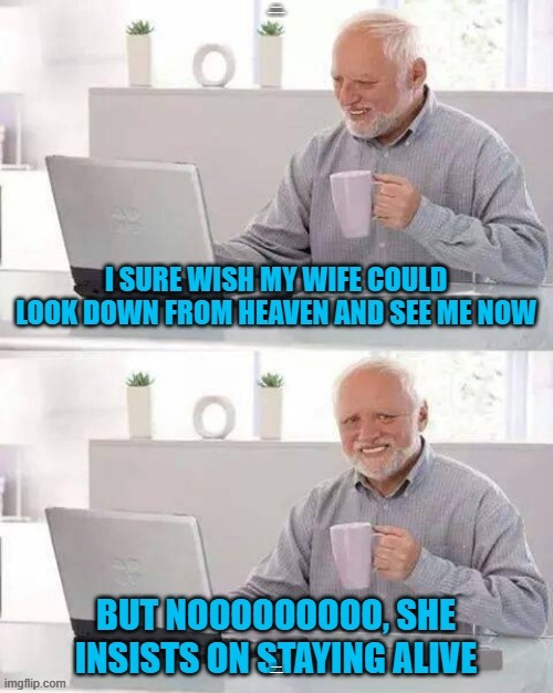 I SURE WISH MY WIFE COULD LOOK DOWN FROM HEAVEN NOW; BUT NOOOOOOOOO SHE INSISTS ON STAYING ALIVE | image tagged in funny memes,so true memes | made w/ Imgflip meme maker