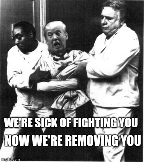 No more Trump BS | WE'RE SICK OF FIGHTING YOU; NOW WE'RE REMOVING YOU | image tagged in trump 2020,election 2020,trump meme,funny memes,nevertrump meme | made w/ Imgflip meme maker
