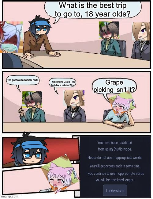 Luni restricts Koral for saying grapes (Safe For Work) | What is the best trip to go to, 18 year olds? The gacha amusement park. Grape picking isn't it? Celebrating Cara's 11th birthday in october 22nd. | image tagged in memes,boardroom meeting suggestion | made w/ Imgflip meme maker