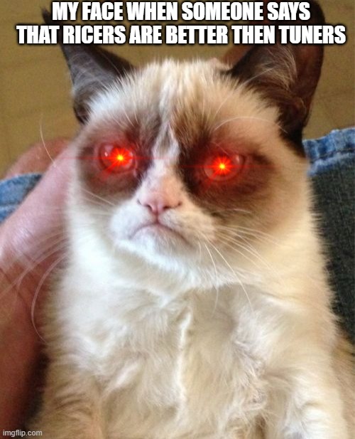 Grumpy Cat | MY FACE WHEN SOMEONE SAYS THAT RICERS ARE BETTER THEN TUNERS | image tagged in memes,grumpy cat | made w/ Imgflip meme maker