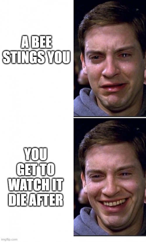 Peter Parker crying/happy | A BEE STINGS YOU; YOU GET TO WATCH IT DIE AFTER | image tagged in peter parker crying/happy | made w/ Imgflip meme maker