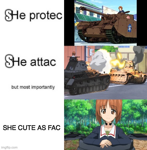 NOW I WAIT FOR THE DOWNVOTES | SHE CUTE AS FAC | image tagged in she protec she attac but most importantly,girls und panzer,anime | made w/ Imgflip meme maker