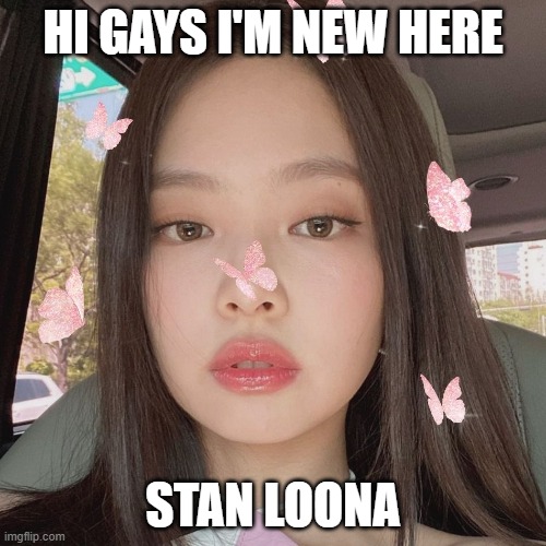 i'm questioning rn, might be a theysbian but we'll se | HI GAYS I'M NEW HERE; STAN LOONA | image tagged in blackpink,jennie,gay,lesbian | made w/ Imgflip meme maker