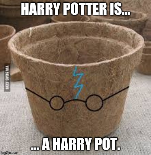Harry Pot Repost (I meant hairy but whatev) | image tagged in reposting my own,harry potter | made w/ Imgflip meme maker