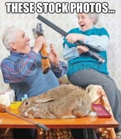hmm | THESE STOCK PHOTOS... | image tagged in memes,stock photos,weird,dafuq,poor animals | made w/ Imgflip meme maker