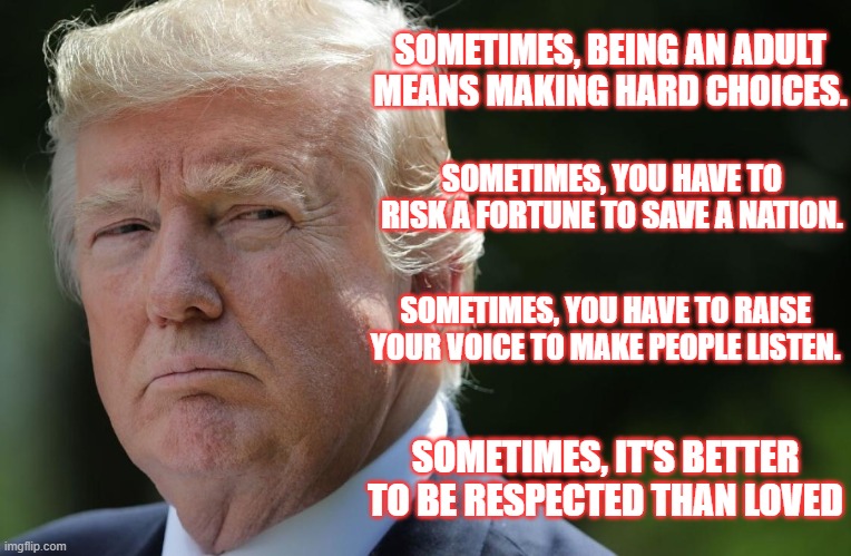 Sometimes | SOMETIMES, BEING AN ADULT MEANS MAKING HARD CHOICES. SOMETIMES, YOU HAVE TO RISK A FORTUNE TO SAVE A NATION. SOMETIMES, YOU HAVE TO RAISE YOUR VOICE TO MAKE PEOPLE LISTEN. SOMETIMES, IT'S BETTER TO BE RESPECTED THAN LOVED | image tagged in donald trump,election 2020 | made w/ Imgflip meme maker