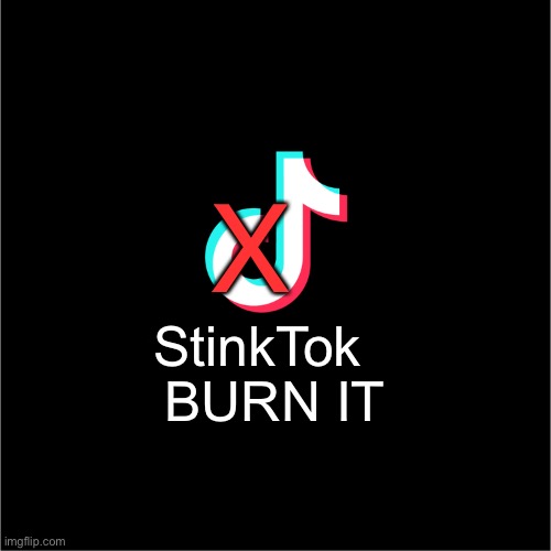 Downvote The Logo! |  X; StinkTok; BURN IT | image tagged in tiktok logo,downvotes,hate,tiktok,stinks,oh wow are you actually reading these tags | made w/ Imgflip meme maker