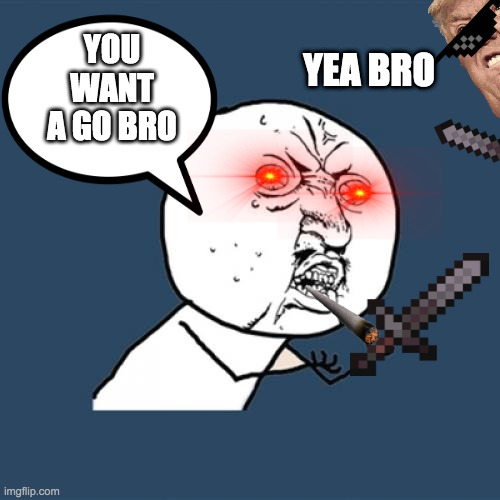 Y U No | YEA BRO; YOU WANT A GO BRO | image tagged in memes,y u no | made w/ Imgflip meme maker