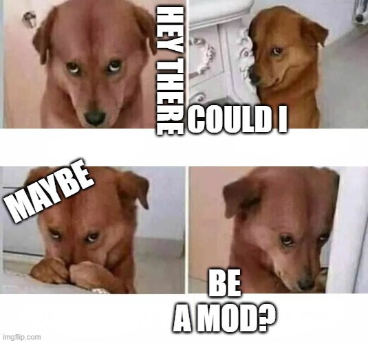Cood I haz mod pleez? | HEY THERE; COULD I; MAYBE; BE A MOD? | image tagged in i am smort,helth,kemist | made w/ Imgflip meme maker