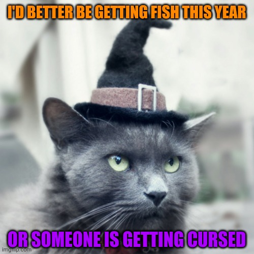 KITTY GONNA PUT A SPELL ON YOU | I'D BETTER BE GETTING FISH THIS YEAR; OR SOMEONE IS GETTING CURSED | image tagged in cats,funny cats,witch,halloween,spooktober | made w/ Imgflip meme maker