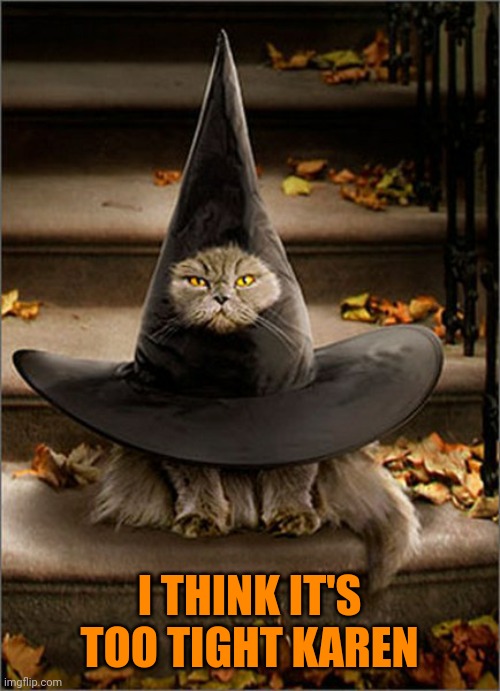 BECOME THE HAT | I THINK IT'S TOO TIGHT KAREN | image tagged in cats,funny cats,halloween,spooktober,witch | made w/ Imgflip meme maker
