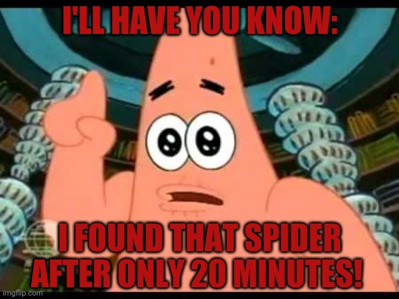 Patrick Says Meme | I'LL HAVE YOU KNOW: I FOUND THAT SPIDER AFTER ONLY 20 MINUTES! | image tagged in memes,patrick says | made w/ Imgflip meme maker