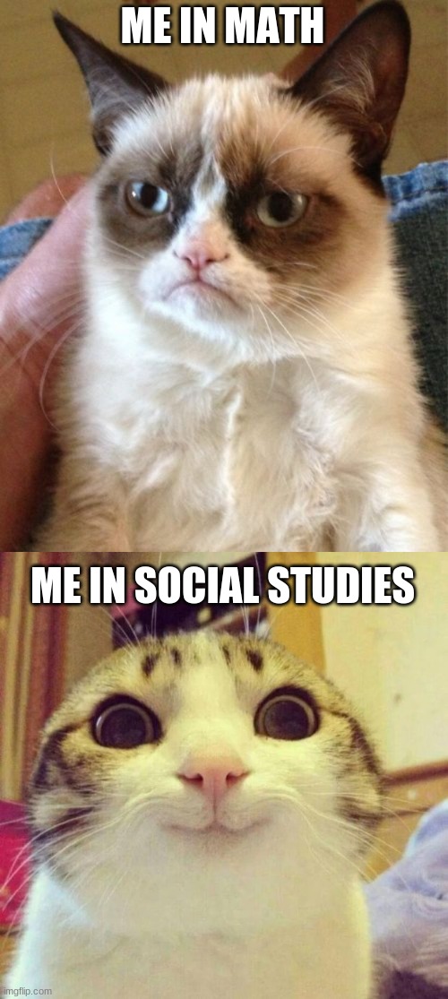 school | ME IN MATH; ME IN SOCIAL STUDIES | image tagged in memes,grumpy cat,smiling cat | made w/ Imgflip meme maker
