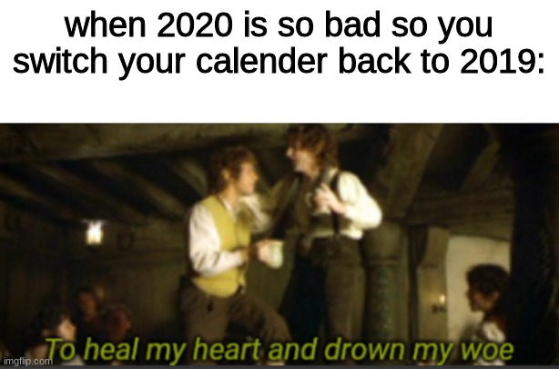 So smart | when 2020 is so bad so you switch your calender back to 2019: | image tagged in to heal my heart and drown my woe | made w/ Imgflip meme maker