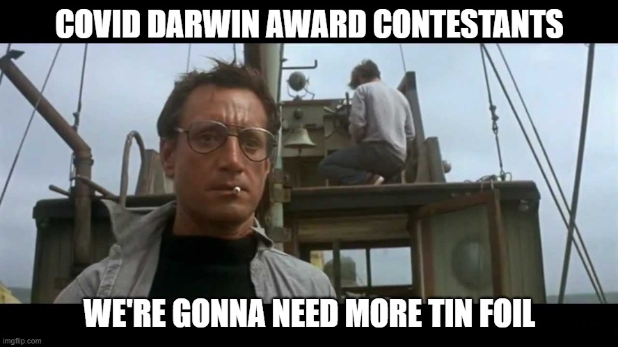 The Dumb is real.  lol |  COVID DARWIN AWARD CONTESTANTS; WE'RE GONNA NEED MORE TIN FOIL | image tagged in jaws bigger boat | made w/ Imgflip meme maker
