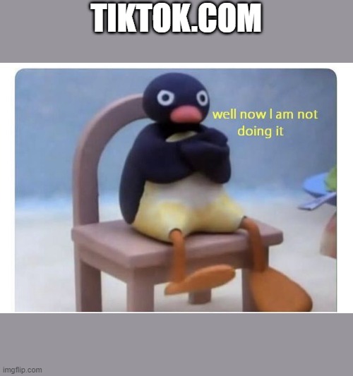 well now I am not doing it | TIKTOK.COM | image tagged in well now i am not doing it | made w/ Imgflip meme maker