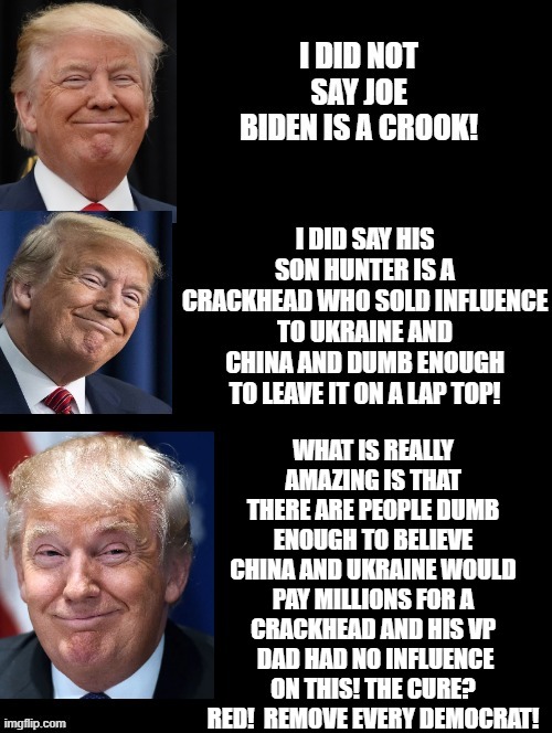 What Is Really Amazing Is That People Are Still Dumb Enough To Vote Biden! | WHAT IS REALLY AMAZING IS THAT THERE ARE PEOPLE DUMB ENOUGH TO BELIEVE CHINA AND UKRAINE WOULD PAY MILLIONS FOR A CRACKHEAD AND HIS VP  DAD HAD NO INFLUENCE ON THIS! THE CURE? RED!  REMOVE EVERY DEMOCRAT! | image tagged in stupid liberals,biden | made w/ Imgflip meme maker