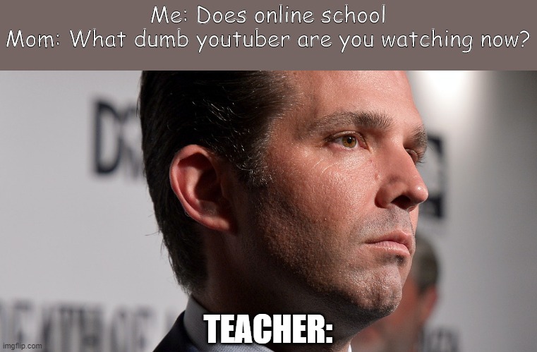 Online School | Me: Does online school
Mom: What dumb youtuber are you watching now? TEACHER: | image tagged in scool,school | made w/ Imgflip meme maker