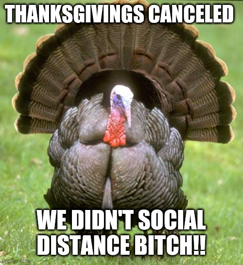 Thanksgivings Canceled | THANKSGIVINGS CANCELED; WE DIDN'T SOCIAL DISTANCE BITCH!! | image tagged in memes,turkey | made w/ Imgflip meme maker