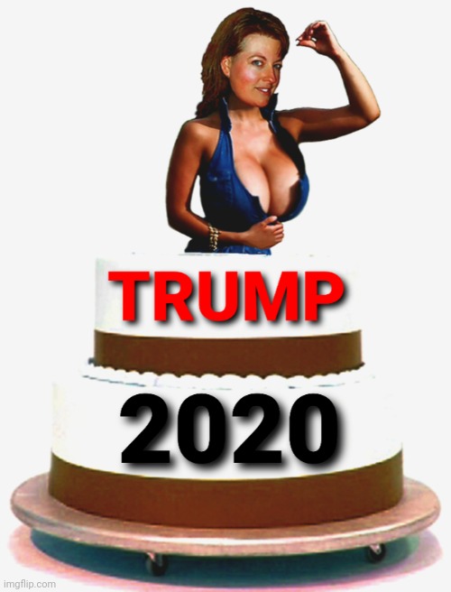 TRUMP 2020 | image tagged in presidential race,president trump,trump 2020,politics | made w/ Imgflip meme maker
