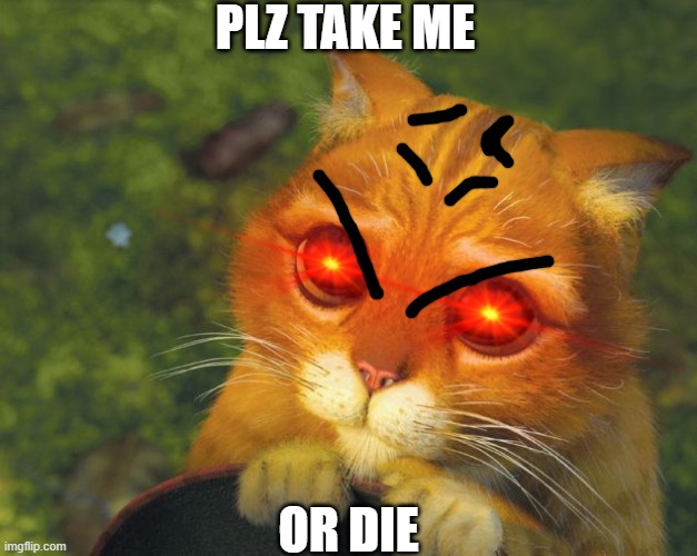 cat plz | PLZ TAKE ME; OR DIE | image tagged in cat plz | made w/ Imgflip meme maker