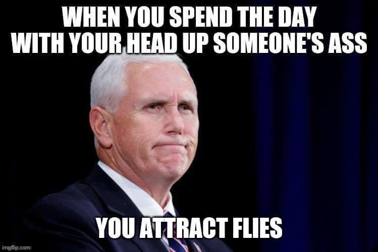 image tagged in mike pence | made w/ Imgflip meme maker