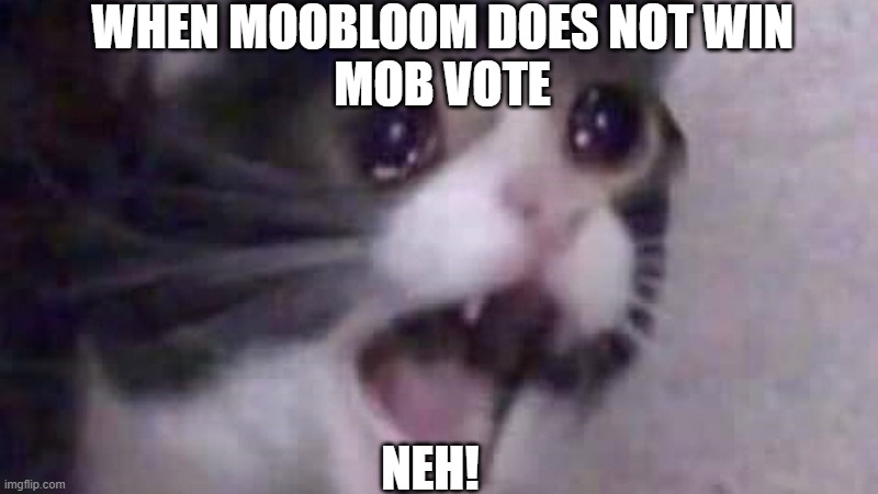 idk | WHEN MOOBLOOM DOES NOT WIN
MOB VOTE; NEH! | image tagged in surprised cat | made w/ Imgflip meme maker