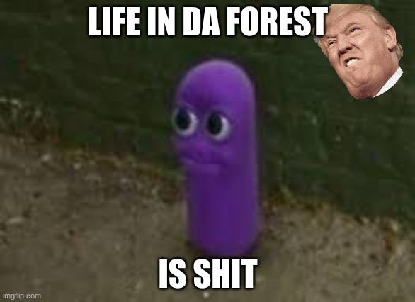 da forest | LIFE IN DA FOREST; IS SHIT | image tagged in beanos | made w/ Imgflip meme maker