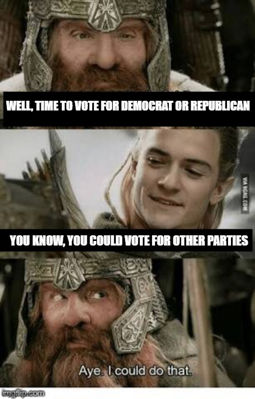 Gimli and Legolas blank | WELL, TIME TO VOTE FOR DEMOCRAT OR REPUBLICAN; YOU KNOW, YOU COULD VOTE FOR OTHER PARTIES | image tagged in gimli and legolas blank | made w/ Imgflip meme maker