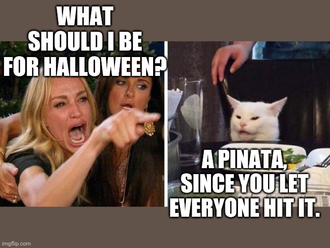 Smudge the cat | WHAT SHOULD I BE FOR HALLOWEEN? A PINATA, SINCE YOU LET EVERYONE HIT IT. | image tagged in smudge the cat | made w/ Imgflip meme maker