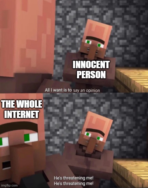 INNOCENT PERSON; THE WHOLE INTERNET | image tagged in opinion | made w/ Imgflip meme maker