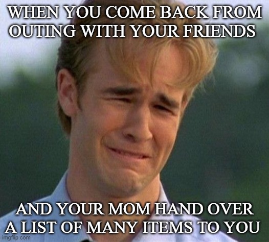 1990s First World Problems Meme | WHEN YOU COME BACK FROM OUTING WITH YOUR FRIENDS; AND YOUR MOM HAND OVER A LIST OF MANY ITEMS TO YOU | image tagged in memes,1990s first world problems | made w/ Imgflip meme maker