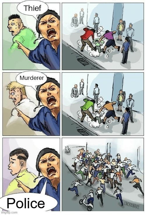 Theif! Murderer! | Police | image tagged in theif murderer | made w/ Imgflip meme maker