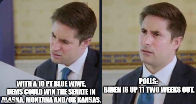 Blue Wave | WITH A 10 PT BLUE WAVE, DEMS COULD WIN THE SENATE IN ALASKA, MONTANA AND/OR KANSAS. POLLS: 
BIDEN IS UP 11 TWO WEEKS OUT. | image tagged in axios meme template,blue wave | made w/ Imgflip meme maker