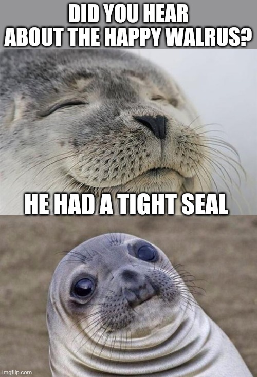 Short Satisfaction VS Truth Meme | DID YOU HEAR ABOUT THE HAPPY WALRUS? HE HAD A TIGHT SEAL | image tagged in memes,short satisfaction vs truth | made w/ Imgflip meme maker