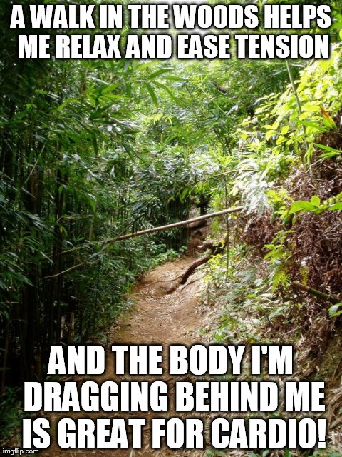 image tagged in walkinthewoods,funny | made w/ Imgflip meme maker