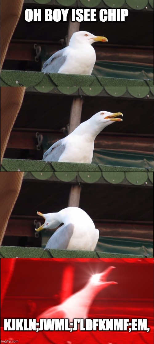 Inhaling Seagull | OH BOY ISEE CHIP; KJKLN;JWML;J'LDFKNMF;EM, | image tagged in memes,inhaling seagull | made w/ Imgflip meme maker