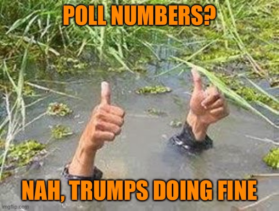Trump sinking in polls worse than 2016. Can he crawl out of his swamp? | POLL NUMBERS? NAH, TRUMPS DOING FINE | image tagged in flooding thumbs up,donald trump,trump supporters,election 2020,funny,funny memes | made w/ Imgflip meme maker