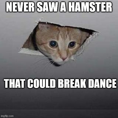 Ceiling Cat Meme | NEVER SAW A HAMSTER; THAT COULD BREAK DANCE | image tagged in memes,ceiling cat | made w/ Imgflip meme maker