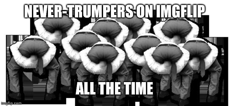 head up ass | NEVER-TRUMPERS ON IMGFLIP ALL THE TIME | image tagged in head up ass | made w/ Imgflip meme maker