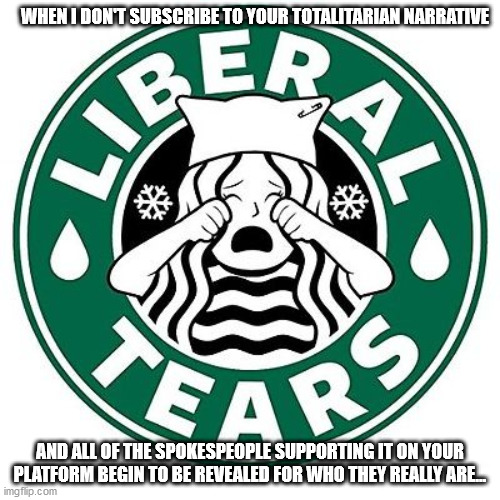 WHEN I DON'T SUBSCRIBE TO YOUR TOTALITARIAN NARRATIVE; AND ALL OF THE SPOKESPEOPLE SUPPORTING IT ON YOUR PLATFORM BEGIN TO BE REVEALED FOR WHO THEY REALLY ARE... | image tagged in liberal tears | made w/ Imgflip meme maker