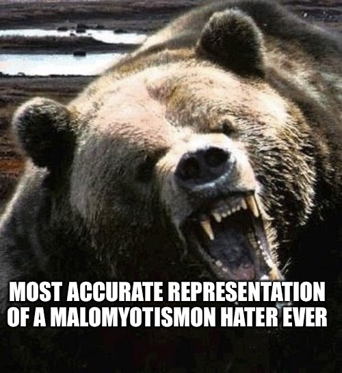 Angry bear | MOST ACCURATE REPRESENTATION OF A MALOMYOTISMON HATER EVER | image tagged in angry bear | made w/ Imgflip meme maker