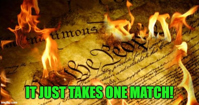 Constitution In Flames | IT JUST TAKES ONE MATCH! | image tagged in constitution in flames | made w/ Imgflip meme maker