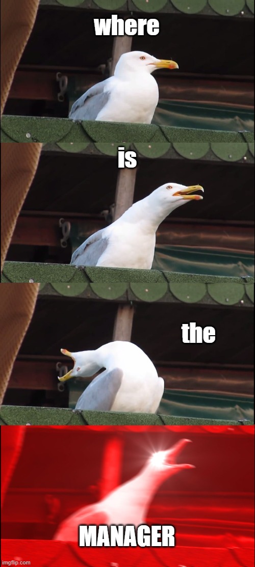 Inhaling Seagull | where; is; the; MANAGER | image tagged in memes,inhaling seagull | made w/ Imgflip meme maker