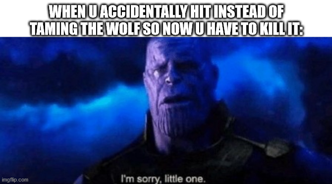 :( | WHEN U ACCIDENTALLY HIT INSTEAD OF TAMING THE WOLF SO NOW U HAVE TO KILL IT: | image tagged in im sorry little one,minecraft,wolf | made w/ Imgflip meme maker