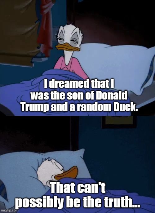 Donald had a bad dream | I dreamed that I was the son of Donald Trump and a random Duck. That can't possibly be the truth... | image tagged in donald duck wake up,donald trump,dreams,fun | made w/ Imgflip meme maker
